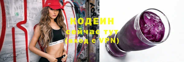 скорость Вяземский