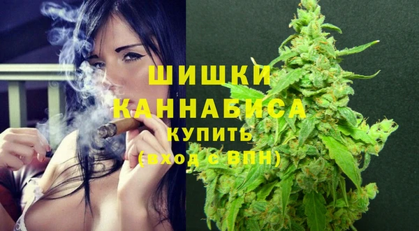 ешки Вязьма