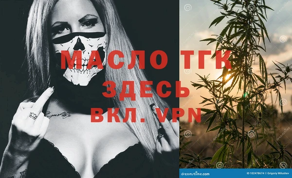 скорость Вяземский