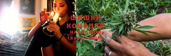 ешки Вязьма