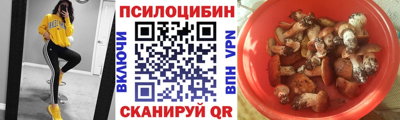 что такое   Дубовка  Галлюциногенные грибы GOLDEN TEACHER 